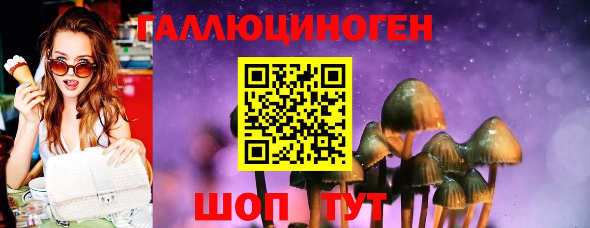 Воткинск  Галлюциногенные грибы Psilocybine cubensis  Вход с VPN 